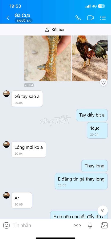 ae bán gà né thăng này nhe nó ở thốt nốt. Mua bán Gà tại Huyện Cờ Đỏ Cần Thơ được đăng bởi gà bổn uy tính chuyên gà lai sil và jap hình 1