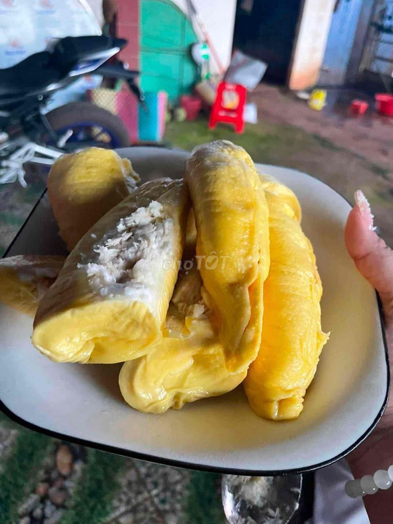 Sầu riêng Musaking Đắk Lắk nhà trồng. Mua bán Đồ ăn, thực phẩm và các loại khác tại Quận 8 Tp Hồ Chí Minh được đăng bởi Tô Trung Kiên hình 1