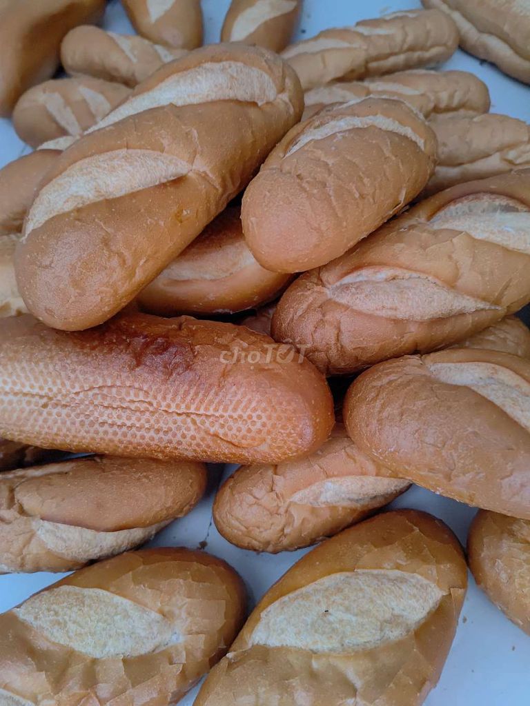 Bánh mì sấy khô 10.000 ...1 kg. Mua bán Đồ ăn, thực phẩm và các loại khác tại Thành phố Vĩnh Long Vĩnh Long được đăng bởi Nguyễn Lộc hình 1