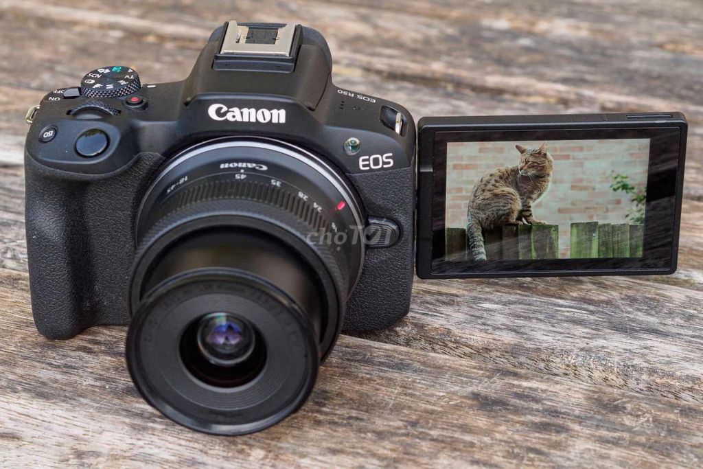 Máy ảnh Canon R50 Full box. Mua bán Máy ảnh, Máy quay tại Quận Ngô Quyền Hải Phòng được đăng bởi phạm trung hình 1