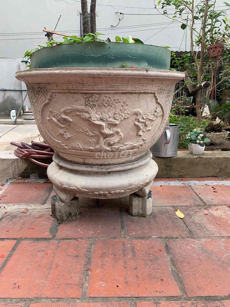 Khuôn chậu cảnh Composit Tròn 80cm. Mua bán Cây cảnh, đồ trang trí tại Huyện Sóc Sơn Hà Nội được đăng bởi Trần thanh tùng hình 1