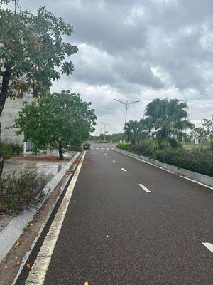 Đất chính chủ- sổ sẵn- chợ Mới An Nhơn. Mua bán đất tại Thị xã An Nhơn Bình Định được đăng bởi Thanh Tùng Nguyễn