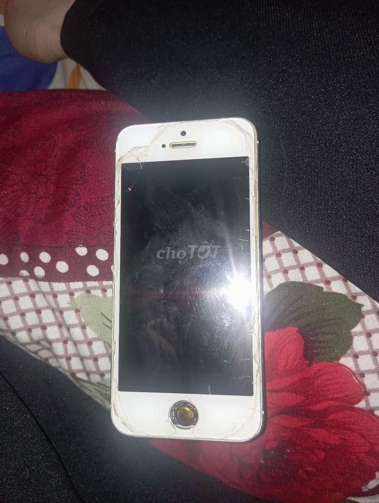 Apple iPhone 5 Trắng. Mua bán Điện thoại tại Quận Bình Thạnh Tp Hồ Chí Minh được đăng bởi Thành Đạt hình 1