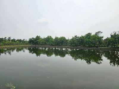 Nhà vườn VAC. Mua bán đất tại Huyện Đông Hưng Thái Bình được đăng bởi Nguyễn Văn Ngọc
