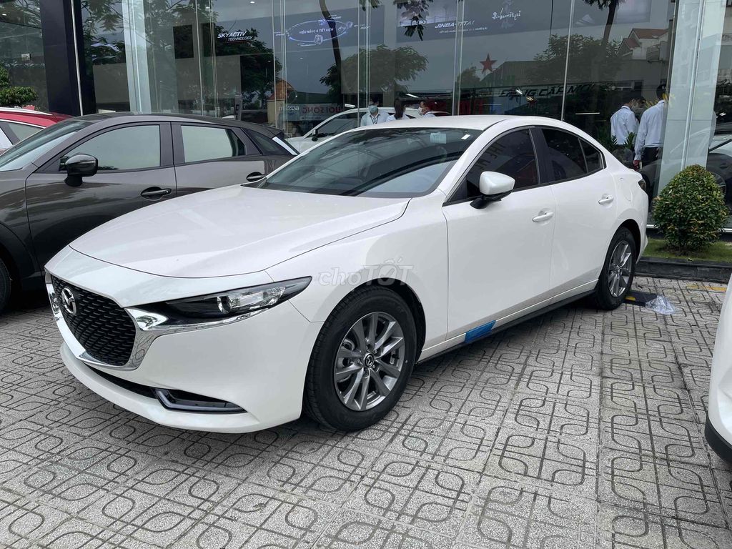 Ảnh số 6