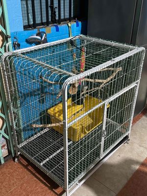 Lồng mèo chó  sắt trắng 78x55x100 cm