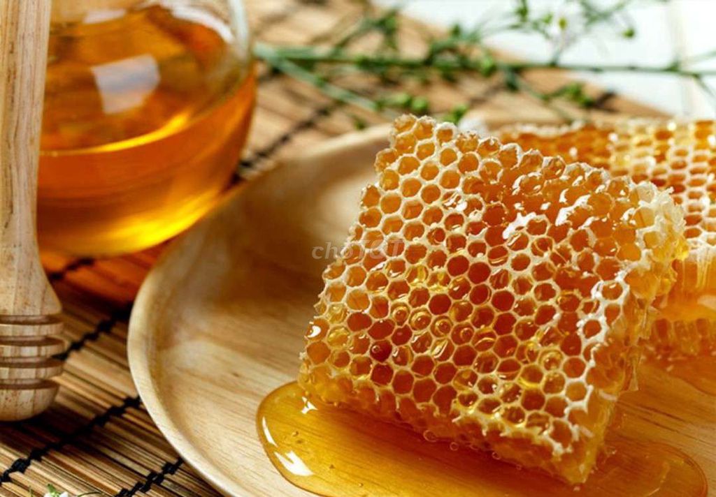 Bán mật ong rừng nguyên chất 100% tại Sài Gòn