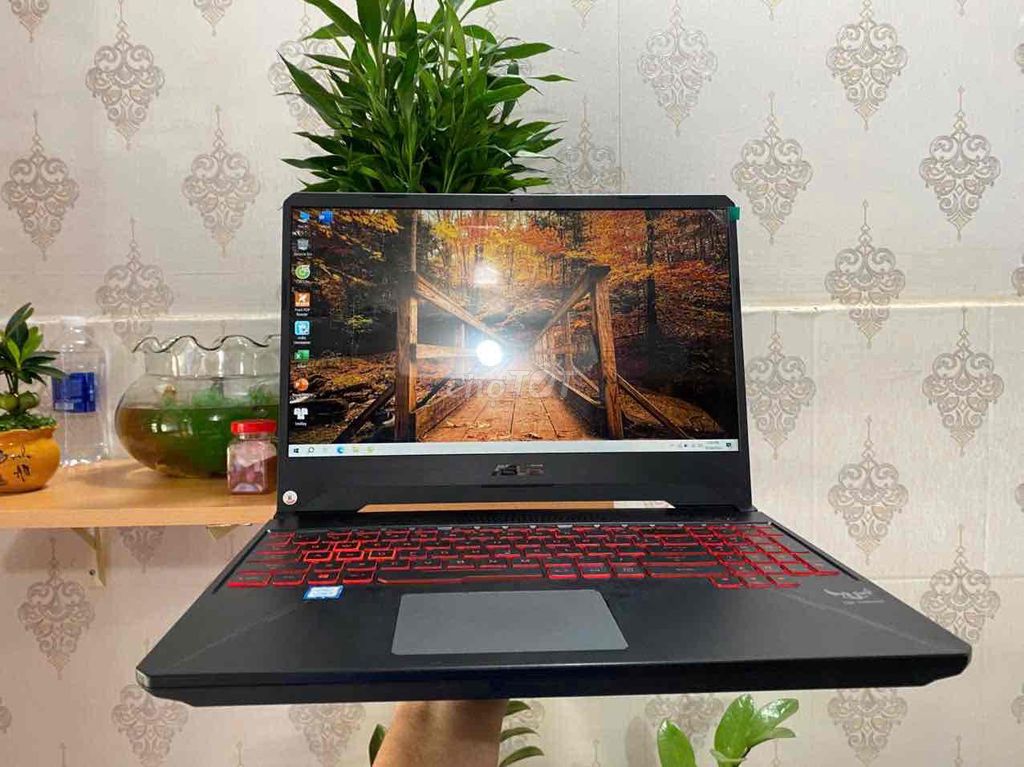 Asus TUF I5-8300h 16GB/256GB Đã dùng. Mua bán Laptop tại Thị xã Tân Uyên Bình Dương được đăng bởi lê âu hình 1
