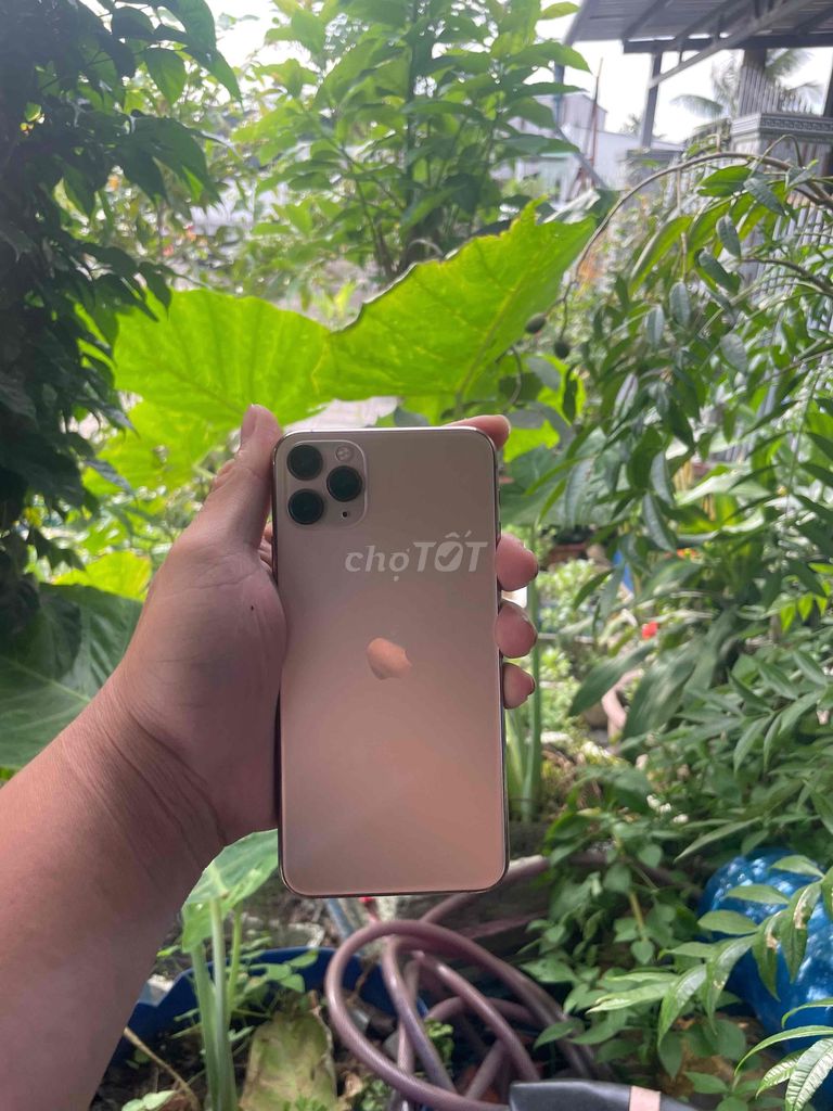 Apple iPhone 11 Pro Max 64GB Vàng Đã sử dụng. Mua bán Điện thoại tại Huyện Kế Sách Sóc Trăng được đăng bởi Nguyễn Quang Trường hình 1