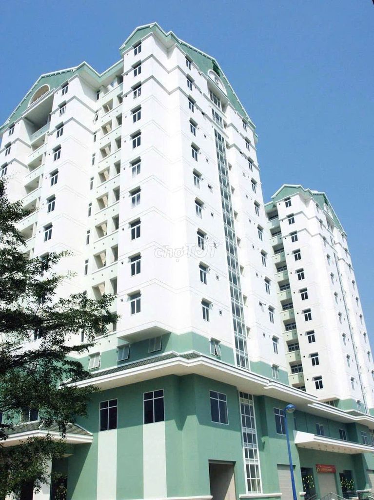 Bán Gấp cc Nhất Lan 2, (C, Đ) . 50 m2, 1 PN, sổ sẵn , hỗ trợ vay