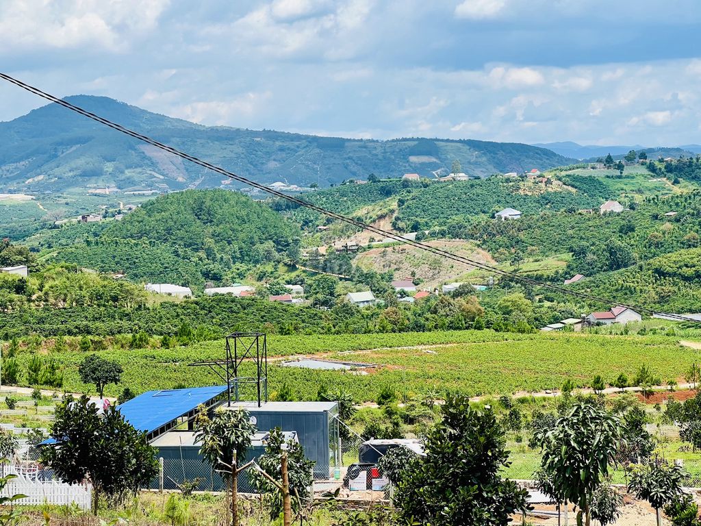 🌟[CHỢ TỐT]Đất đẹp xây nhà nghỉ dưỡng view đồi thông gần chợ ven Đà Lạt