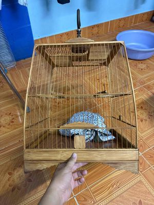 thái cao tre già. Mua bán Phụ kiện, Thức ăn, Dịch vụ tại Huyện Bình Chánh Tp Hồ Chí Minh được đăng bởi Thuận 