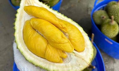 Sầu riêng Ri6 và Musang King free ship SG!.. Mua bán Đồ ăn, thực phẩm và các loại khác tại Quận Bình Tân Tp Hồ Chí Minh được đăng bởi Cậu Ba Sầu Riêng hình 1