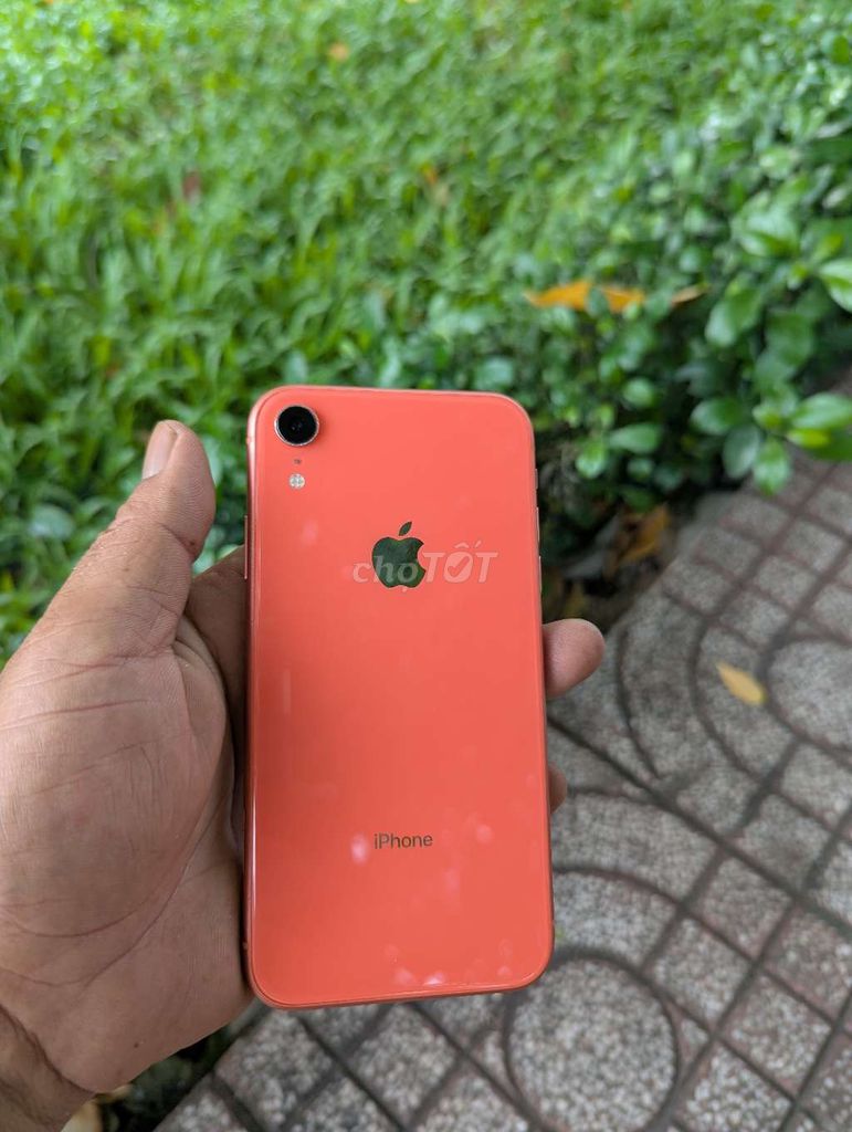 iPhone XR 64GB Coral Nguyên zin. Mua bán Điện thoại tại Thành phố Vĩnh Long Vĩnh Long được đăng bởi Trao đổi trãi nghiệm hình 1