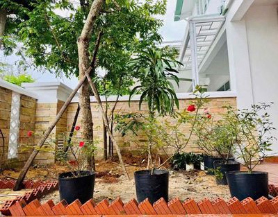 Rent · 4 bd · 150 м² · Quận Sơn Trà, ул. Đường Ngô Quyền