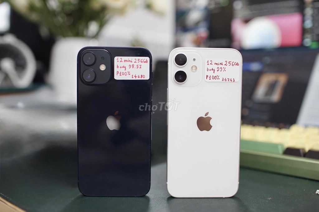 iPhone 12 Mini 256Gb - iOs thấp hiếm, q.tế 2 sim. Mua bán Điện thoại tại Quận 5 Tp Hồ Chí Minh được đăng bởi Lê Trọng Tấn hình 1