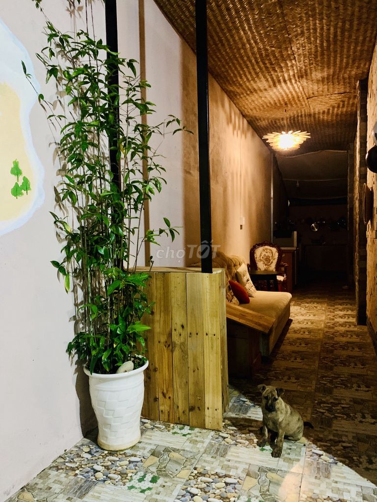 CHÍNH CHỦ CẦN SANG GẤP HOMESTAY SÂN VƯỜN NGAY TRUNG TÂM