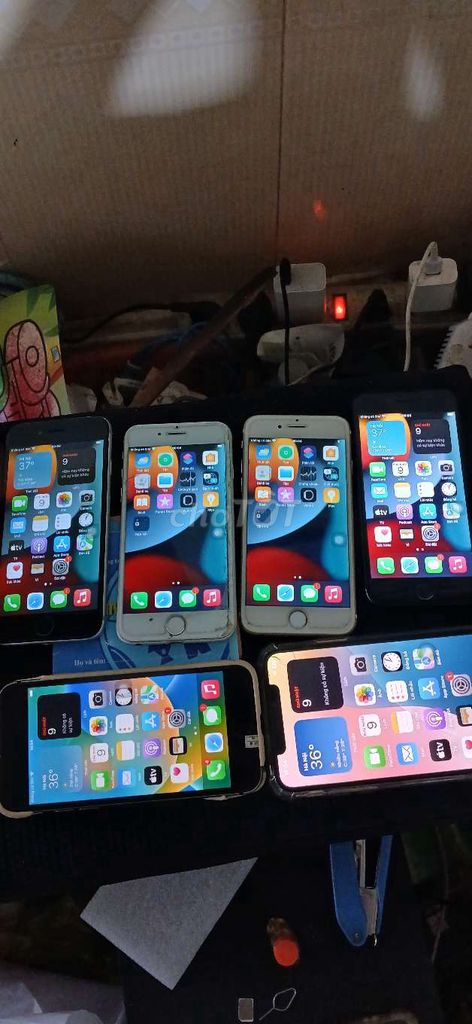 Apple iPhone 6s Đa màu. Mua bán Điện thoại tại Quận Ô Môn Cần Thơ được đăng bởi Lam Nguyen hình 1
