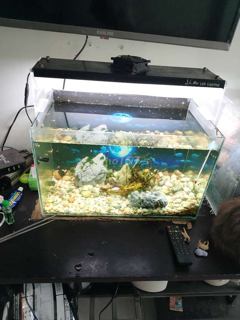 Đèn bể cá JIMLED 50cm. Mua bán Đèn tại Thành phố Nha Trang Khánh Hòa được đăng bởi Lưu tiến định hình 1