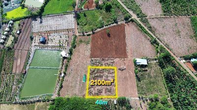 Bình Giã, TPHCM 2100m² mặt tiền 48m thênh thang, giá rẻ khu vực