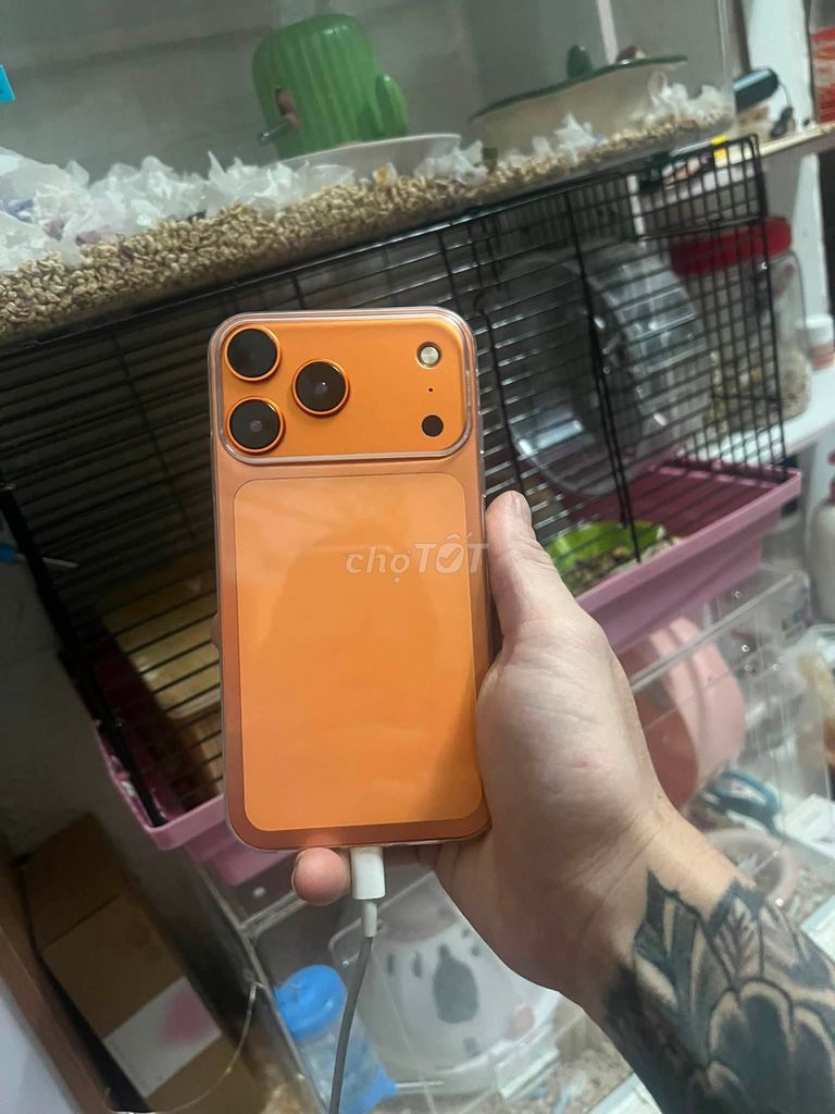 Apple iPhone XR 128GB Cam. Mua bán Điện thoại tại Quận 8 Tp Hồ Chí Minh được đăng bởi Hội Đồ Điện Tử hình 1