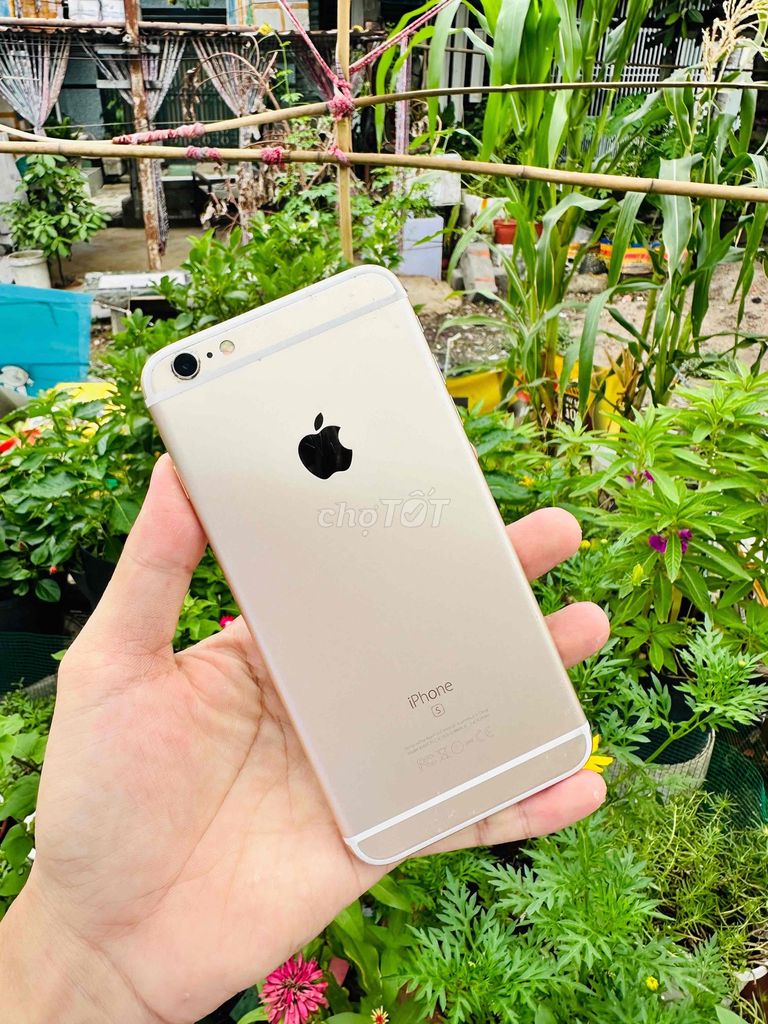 Apple iPhone 6s Plus 32GB Vàng VN/A. Mua bán Điện thoại tại Quận 12 Tp Hồ Chí Minh được đăng bởi Nguyễn Văn Vang hình 1