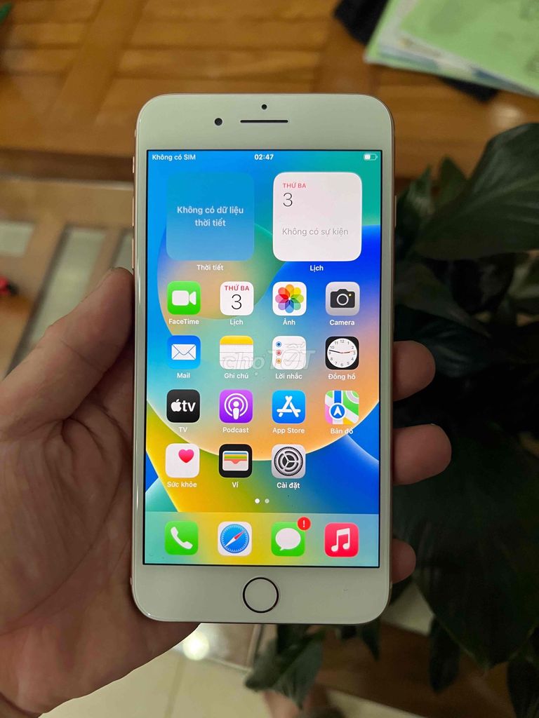 Apple iPhone 8 Plus 64GB Vàng hồng. Mua bán Điện thoại tại Huyện Hóc Môn Tp Hồ Chí Minh được đăng bởi Khổng Văn Hùng  hình 1