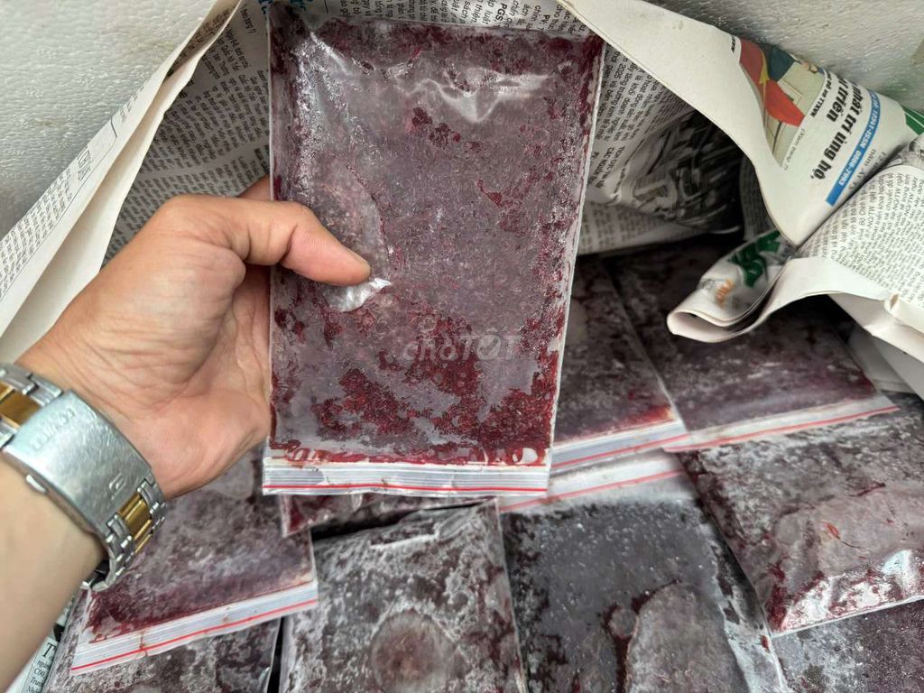 Trùn Huyết Sạch Đông Lạnh Khô Không Nước. Mua bán Phụ kiện, Thức ăn, Dịch vụ tại Huyện Củ Chi Tp Hồ Chí Minh được đăng bởi Mẫn Cá Cảnh hình 1