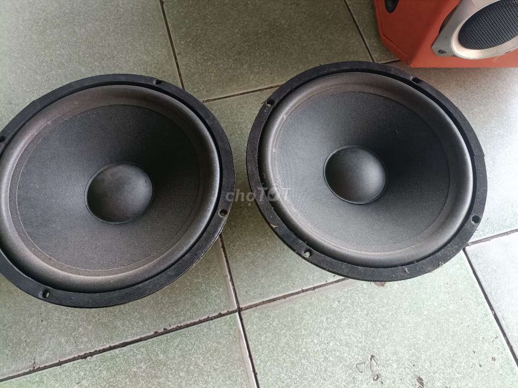 Cặp bass 25 từ kép