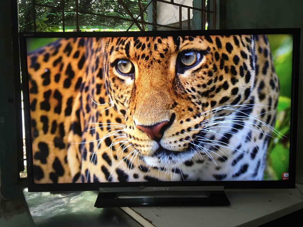 tv led sony 32 inch ko mạng