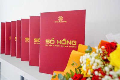SỞ HỮU CĂN HỘ CAO CẤP THANH TOÁN 40% NHẬN NHÀ NGAY - ĐÃ CÓ SỔ HỒNG