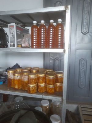 Mật ong nguyên chất 100%. Mua bán Đồ ăn, thực phẩm và các loại khác tại Huyện Cư Kuin Đắk Lắk được đăng bởi Kiên Nguyễn