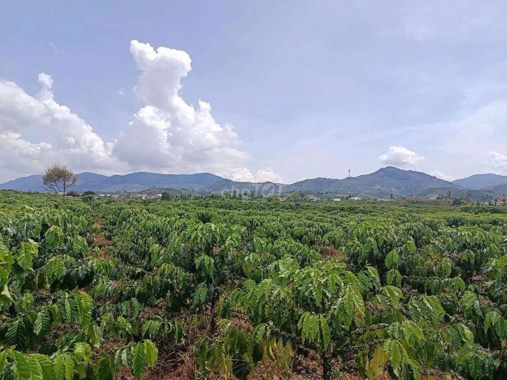 Đất đầu tư nghỉ dưỡng quá tuyệt