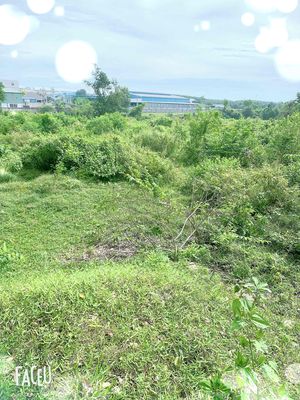 đất 6000 m2