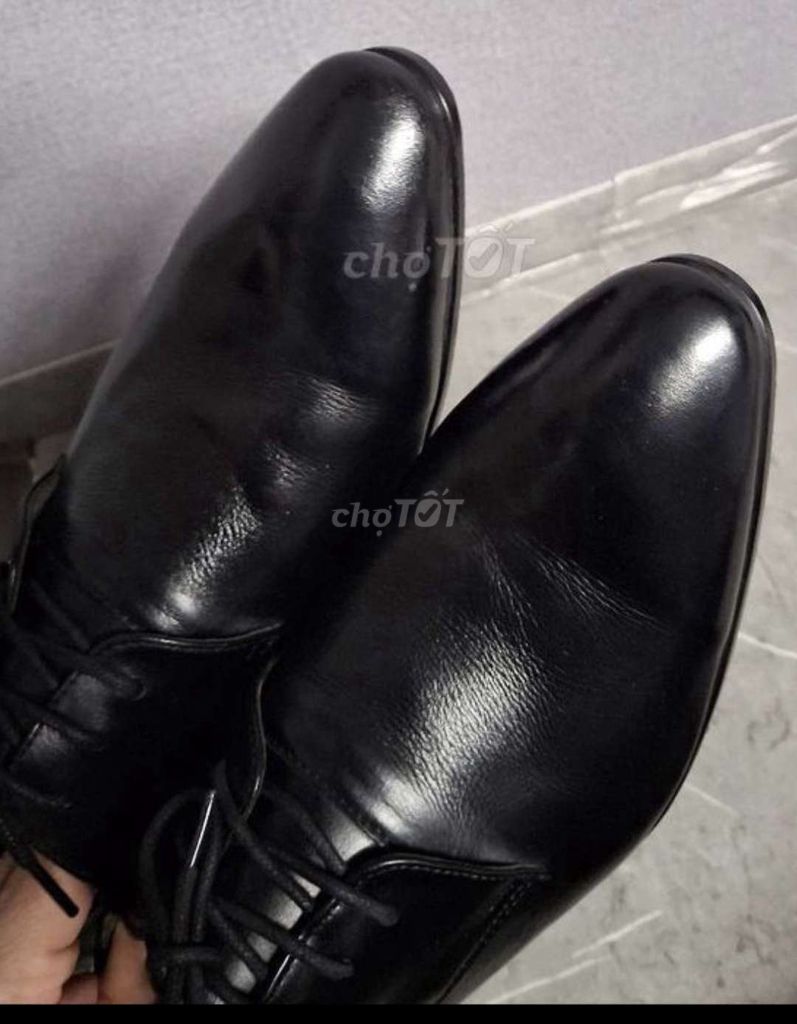 Giày Savato tăng chiều cao 7cm. Mua bán Giày dép tại Huyện Châu Thành Tiền Giang được đăng bởi Hoàng  hình 1