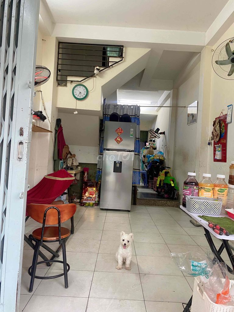 Chó Mix Bichon đực 11 tháng. Mua bán Chó tại Quận 6 Tp Hồ Chí Minh được đăng bởi Bối bối hình 1