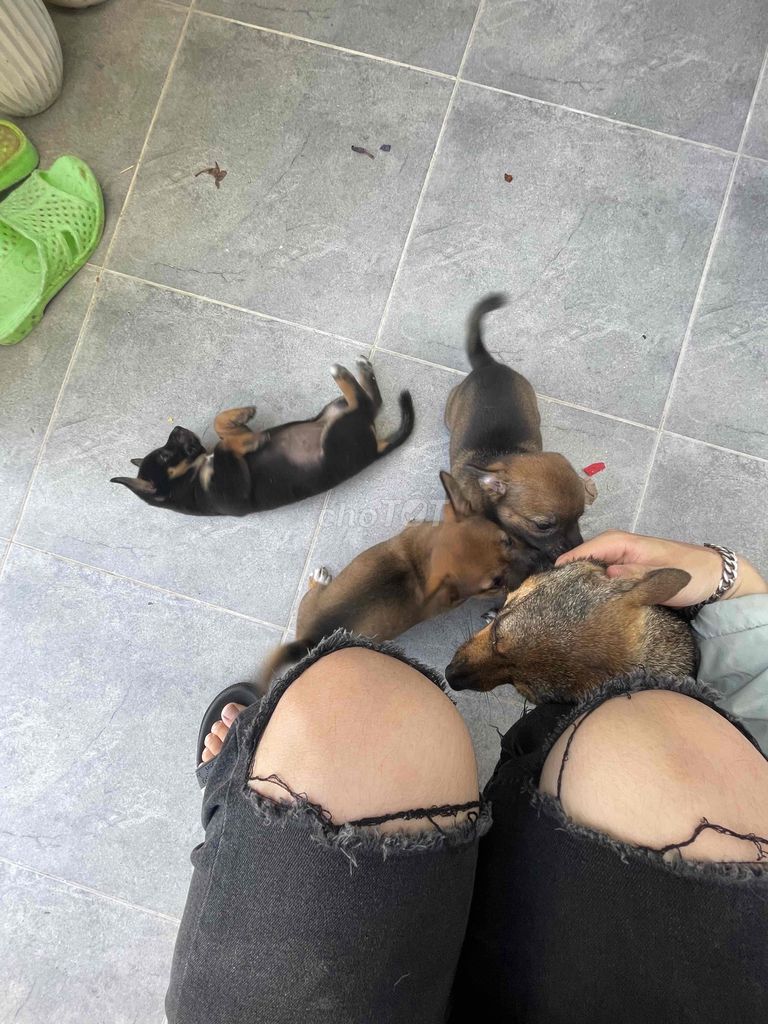 tặng cho ai yêu thương bé ạ
