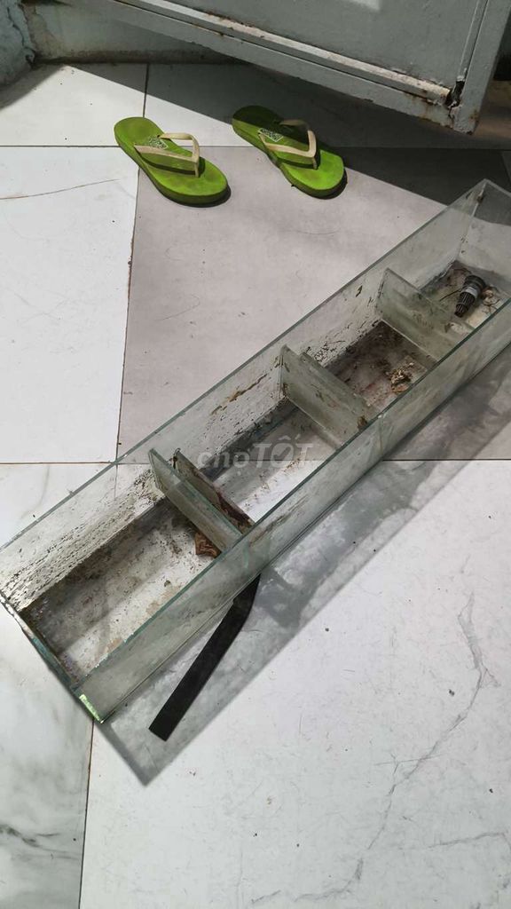Lọc tràn bể cá Kính 5ly 80x15x15cm. Mua bán Phụ kiện, Thức ăn, Dịch vụ tại Thành phố Thủ Đức Tp Hồ Chí Minh được đăng bởi Trí  hình 1
