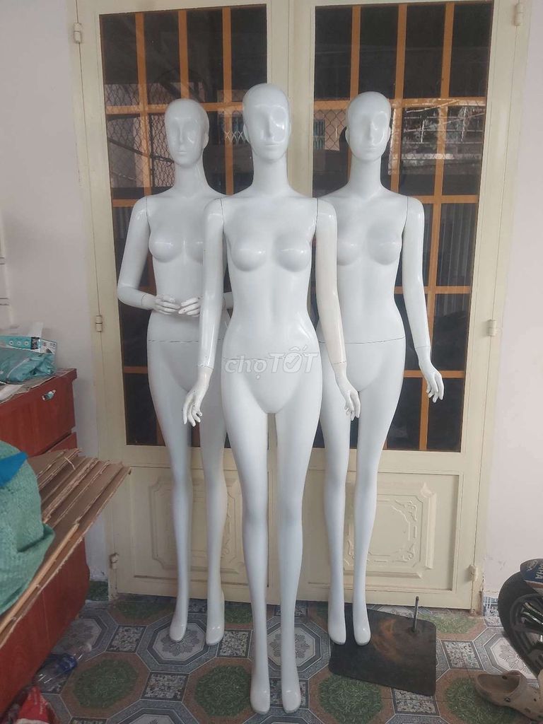 manacanh, manơcanh, ma nơ canh, ma-nơ-canh. Mua bán Đồ chuyên dụng, Giống nuôi trồng tại Quận 7 Tp Hồ Chí Minh được đăng bởi Thanhhuu hình 1