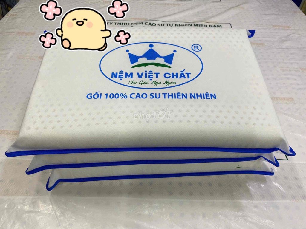 Gối nằm CAO SU THIÊN NHIÊN VIỆT CHẤT