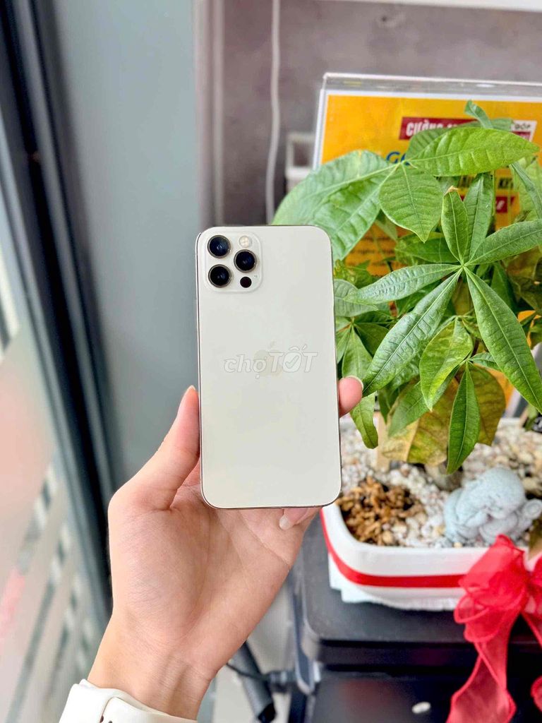 Apple iPhone 12 Pro 128GB Vàng. Mua bán Điện thoại tại Quận Ninh Kiều Cần Thơ được đăng bởi Cường Mobile Cần Thơ hình 1