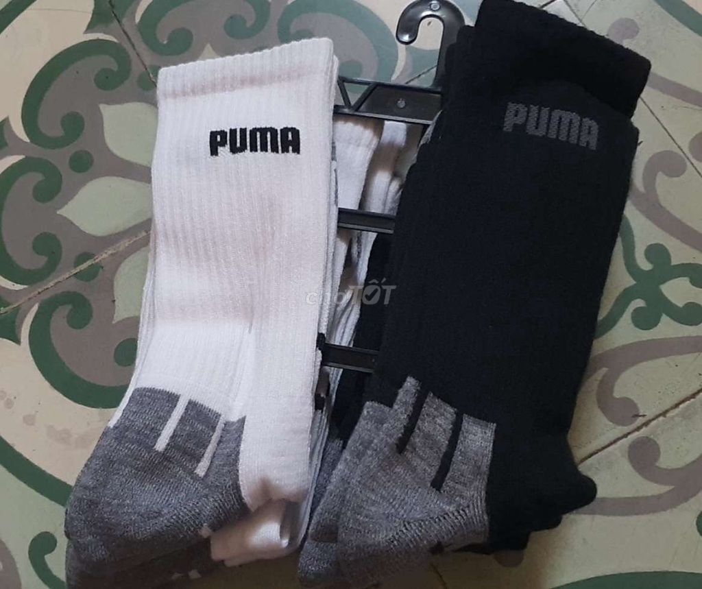 Vớ Nam puma 8 đôi. Mua bán Phụ kiện thời trang khác tại Quận 5 Tp Hồ Chí Minh được đăng bởi Phạm Anh Thư  hình 1