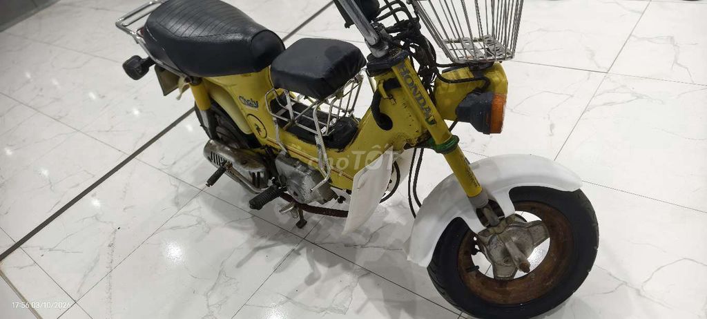 Honda Chaly 81, японское золото, до 50 куб. см