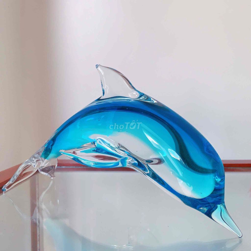 cá heo pha lê Ý. Mua bán Cây cảnh, đồ trang trí tại Huyện Gia Lộc Hải Dương được đăng bởi Điện máy nhật úc hình 1