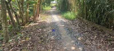 🔰 Bán đất lúa: 16.500m² .Mặt tiền 32m 🔰 Đường đá xe ba gác, xã Mỹ Thọ. Mua bán đất tại Huyện Cao Lãnh Đồng Tháp được đăng bởi Nguyễn Thị Kiều Diễm