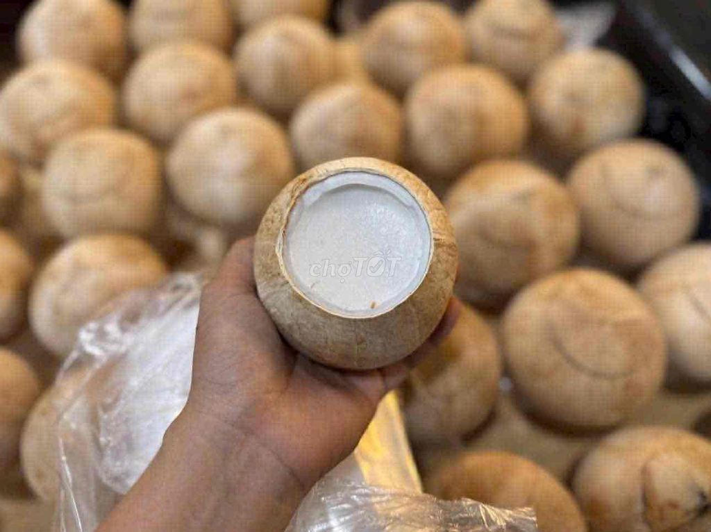 Dừa xiêm Bến Tre. Mua bán Đồ ăn, thực phẩm và các loại khác tại Huyện Hóc Môn Tp Hồ Chí Minh được đăng bởi Hôm Nay Ăn Gì hình 1
