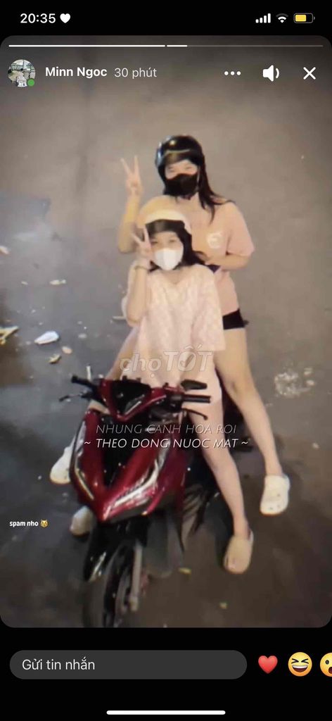 Thỏ Stella 2hand