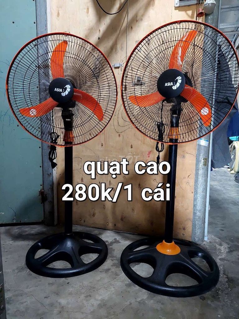 Quạt cao 280k cái hãng asia