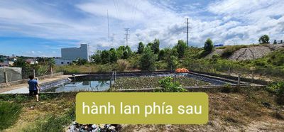 đất 100/160m2 KDC Capiatal Bảo Lộc