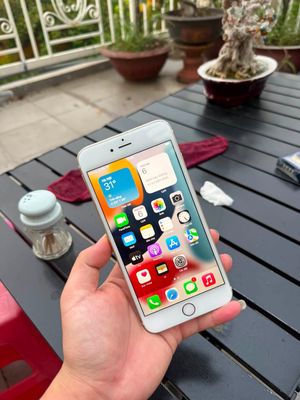 Apple iPhone 6s Plus 32GB Vàng